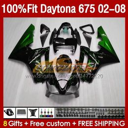 OEM-kuipen voor Daytona675 2002 2003 2004 2005 2006 2007 2008 Bodywork 148No.65 Daytona 675 R CC 675R 02 03 04 05 06 07 08 675cc 02-08 Injectiebeuriskit Groen vlammen