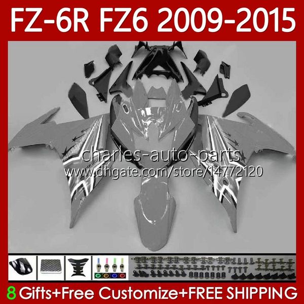 Carénages OEM pour YAMAHA FZ 6R 6N 6 FZ6 R N 600 FZ-6R FZ600 FZ6R Gris brillant 2009 2010 2011 2012 2013 2014 2015 Corps 103No.123 FZ-6N 09 10 11 12 13 14 15 FZ6N 09-1 5 Kit Carrosserie