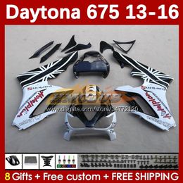 Kit de carenados OEM para Daytona 675 675R 13 14 15 16 2013 2014 2015 2016 MOTO Bodyworks 166No.100 Daytona675 Body Daytona 675 R 2013-2016 Carenado de motocicleta stock blanco
