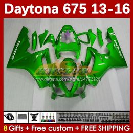 Kit de carenados OEM para Daytona 675 675R 13 14 15 16 2013 2014 2015 2016 MOTO Bodyworks 166No.87 Daytona675 Body Daytona 675 R 2013-2016 Carenado de motocicleta verde stock