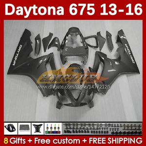 Kit de camencements OEM pour Daytona 675 675r 13 14 15 16 2013 2014 2015 2016 Moto BodyWorks 166No.91 Daytona675 Body Daytona 675 R 2013-2016 Motorcycle Fairing Silvery Gray Blk