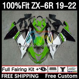 Kit de carénages OEM pour KAWASAKI NINJA ZX-6R ZX 636 ZX636 ZX6R 19 20 21 22 Carrosserie 6DH.138 ZX 6R ZX-636 2019 2020 2021 2022 Cadre 600CC 19-22 Moulage par injection Corps vert blanc