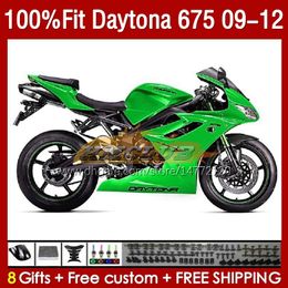 OEM Volledige kuipen voor Daytona 675 675R 2009 2010 2012 Body 150no.81 Daytona675 2009-2012 Bodywork Daytona 675 R 09 10 11 12 Spuitvorm Mold Keering Groene BOORD BOL