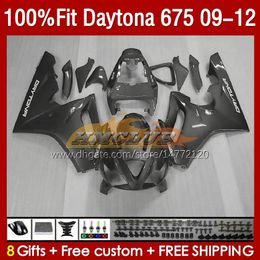 OEM Volledige kuipen voor Daytona 675 675R 2009 2010 2012 Body 150no.91 Daytona675 2009-2012 Bodywork Daytona 675 R 09 10 11 12 Spuitvorm Mold Fairy Gray