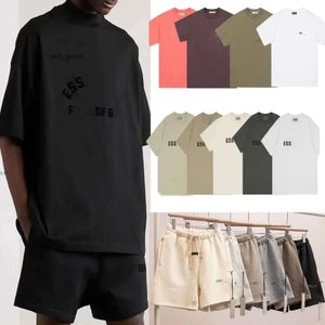 De peur des créateurs de la peur t-shirt masculin tshirts classiques insigne brodés coton en vrac petit cou rond île Essneial tshirt essentiel t-shirt short 895