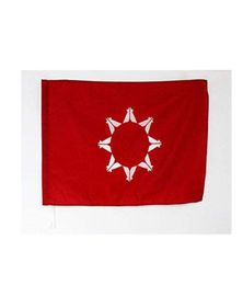 Oglala Sioux Tribe Flag 3039 x 5039 Oglala Lakota vlaggen 90 x 150 cm man Cave dubbelzijdig polyester met messing groffules LGBT9856751