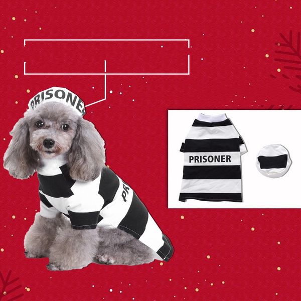 Pull tricoté pour animaux de compagnie de Noël du vieil homme, citrouille devenue sorcier, manteau pour chien