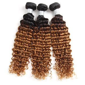 Ombre 1B/27 Braziliaanse Diepe Golf Menselijk Remy Virgin Haar Weeft 100g/bundel Dubbele Inslag 3 Bundels/lot