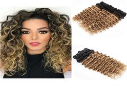 Ombre Deep Wave Remy cheveux paquets trames bouclés 1B27 pour Extensions de cheveux humains naturels 8335424