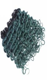 Ombre Menselijk Haarbundels Diepe Golf Groen Tweekleurig Gekleurd Diep Krullend Haar Inslag Braziliaans Maagdelijk Haar Weave5849792