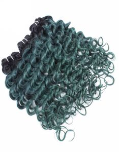 Paquetes de cabello humano Ombre, onda profunda, verde, dos tonos, trama de cabello rizado profundo, cabello virgen brasileño Weave6150764