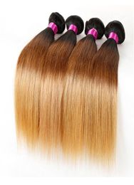 Ombre cheveux raides tisse malaisien indien péruvien brésilien vierge cheveux paquets paquets de cheveux humains 1b27 1b99j 1b427 1b308011407