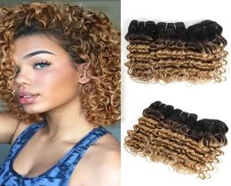 Ombre Weave Bundles Brésiliens Vague Profonde Cheveux Bouclés 810 Pouce 3pcsSet Pour Pleine Tête 166gSet3769382