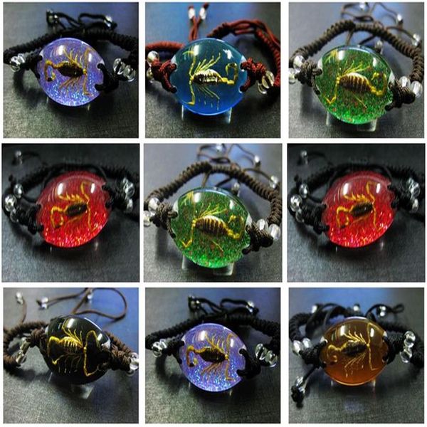 SUR 36 pcs Entier Réel Scorpion Roi Lucite Bracelet Bracelet Insecte Bijoux Qualité Magique Hommes JewelryGIFT Mixte SHIPP2777