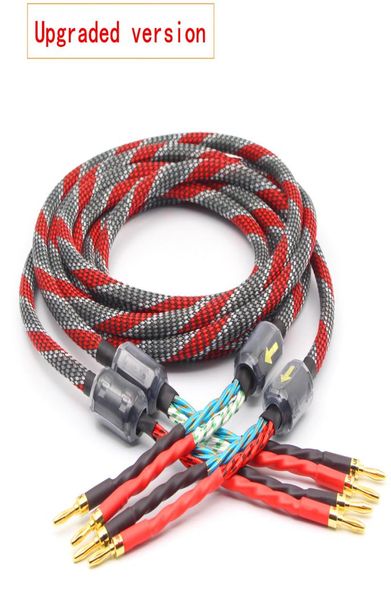 Une paire en cuivre sans oxygène O Câble de haut-parleur Hi-Fi Amplificateur haut de gamme Câble de haut-parleur Banana Head Cable 7499186