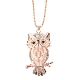 Opal Owl Pull Colliers de chaîne de mode Fashion Feme à la mode