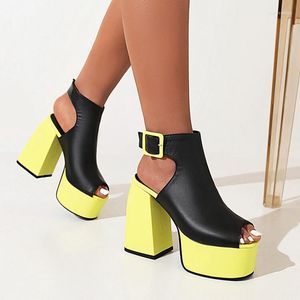 Abierto 206 Sandalias Ribetrini Peep Toe Plataforma Punk Block Heels para mujeres 2024 Hebilla Strappy Casual Tendy Summer Zapatos