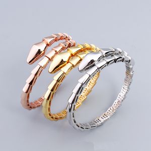 Open manchetarmbanden slangenbotten armband luxe juwelenmerk voor vrouwen koper titanium staal legering vergulde proces mode-accessoires