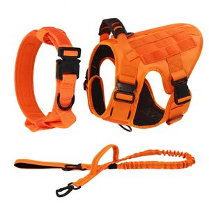Faisceau de chiens orange pour les grands chiens moyens du harnais militaire Collier LEASH Set Advable Pet allemand Shepher Tactical Training Vest 240417