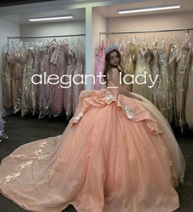 Robe princesse bouffante Orange rose Quinceanera, décolleté en cœur, motif Floral scintillant, robe de bal, Corset à lacets