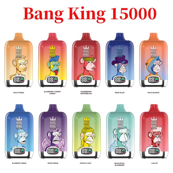 Original Bang King Box 15000 15K Puffs Vape jetable 650mAh Type-C Charge 25ml Pod prérempli avec batterie et Ejuice Indiator 10 saveurs vs bang box 15000 12000