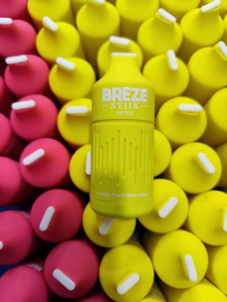 Original BREZE STIIK BS7500 Puff E Cigarettes 80mg Stylo Vape Jetable 650mAh Batterie Rechargeable 12 Saveurs 2% 5% Capacité 16ml Menthe Citron