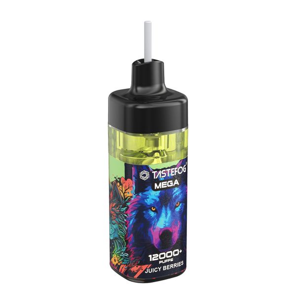 Original Tastefog MEGA 12k bouffées vape jetable 2% 15ml bouffée 12000 jetable e cigarette vape stylo en gros