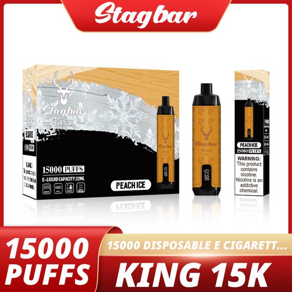 Stagbar King Puff 15000 Bobine de maille vape jetable 800mAh Type-C 22ML POD PRÉFULTE 10 SLAVOR