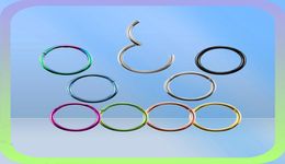 Autre 10pcs / lot G23 Titanium Renture Segment Septum Clicker Nez Anneaux Nipple Oreau Lage Tragus Lip Piercing Fashion Jewelry8118977