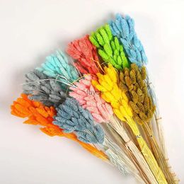 Otras artes y manualidades 20-50 piezas Plantas naturales Piedras preciosas de colores Hierba Cola de conejito Boho para decoración del hogar Flor de pampa seca Boda Pastel de flores falsas DIY YQ240111