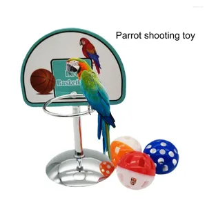 Autres fournitures d'oiseau 1 Set Practical Parrot Toy with Bell Ball Développez Intelligence Creative Pet Basketball Stand