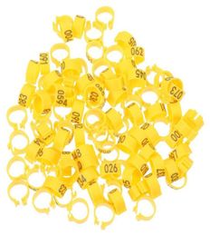 Autres fournitures d'oiseau 100 PCS Pigeon Pigeon Foot Rings Plastic Dand Band2463010