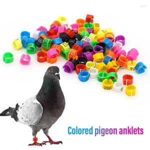 Autres fournitures d'oiseaux 100pcs anneaux de jambe de pigeon identifier les bandes 8mm clip de perroquet en plastique anneau de pied numérique appareils d'approvisionnement d'entraînement