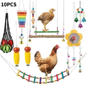 Andere vogels levert 10 -stcs kippenspeelgoed ketting set spiegelbel speelgoed fruit voeding swing en feeder net slijpende tanden kleur stromen