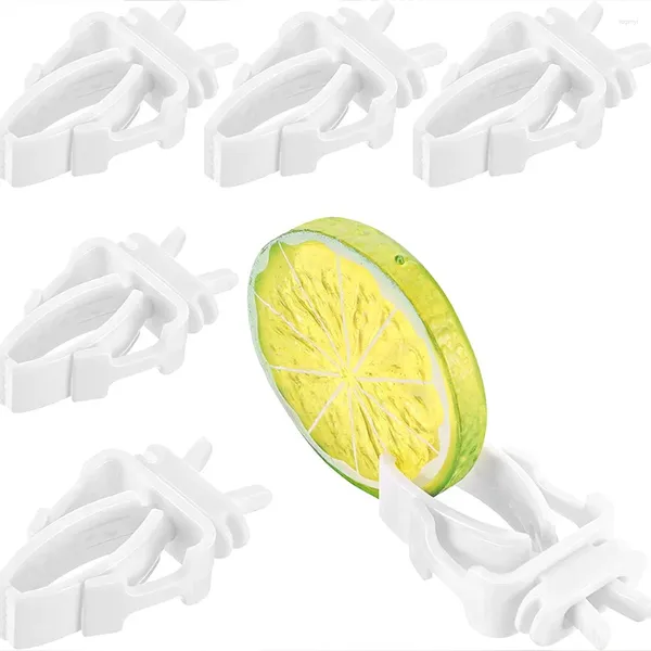 Autres fournitures d'oiseaux 12pcs oiseaux porte-aliments pour animaux de compagnie perroquet alimentation fruits légumes pince seiche os dispositif d'alimentation broche pince cage accessoires