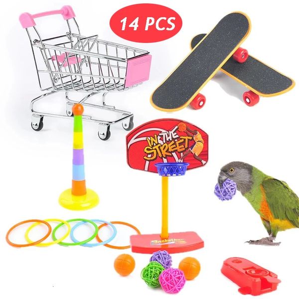 Autres fournitures d'oiseaux 14pcs / Set Toy Cage Parrot Puzzle Basketball Panier Interactive Funny Budgies Cockatiel Accessoires 231211