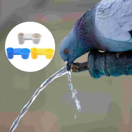 Andere vogelbenodigdheden 15 pc's Homing duif watergeleider glazen voeder