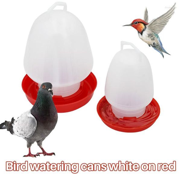 Autres fournitures d'oiseaux 1L Bouilloire Forme Poussin en plastique Boire Pigeon Caille Volaille Boire de l'eau Mettre en œuvre Fontaines Alimentation Tasse 500 ml