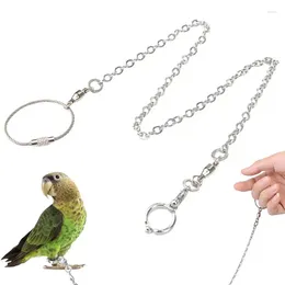 Autres fournitures d'oiseaux 1pcs Pet Parrot Anneau de jambe de la cheville Chaîne de pied Budget Harness Lash Outdoor Flying Training Activity Stand