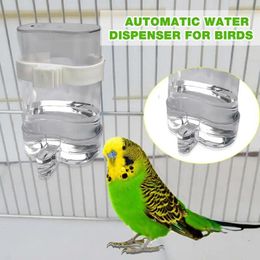 Autres fournitures d'oiseaux 200ml potable perroquet bouilloire grand distributeur d'eau automatique animal de compagnie chinchilla tasse extérieure cage poulets buveur