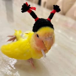 Otros suministros para pájaros 2024 Sombrero tejido para mascotas Parrot Hamster Head Cover Mini