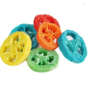 Autres fournitures d'oiseaux 20pcs plantes naturelles luffa molaires mâchent des jouets pour animaux de compagnie 2 paquets molaires perroquet grignotent des pièces de jouets