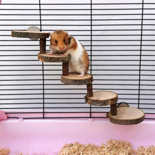 Autres fournitures d'oiseau 3/5 couches accessoires de cage de perroquet hamster en bois pavé de jouet