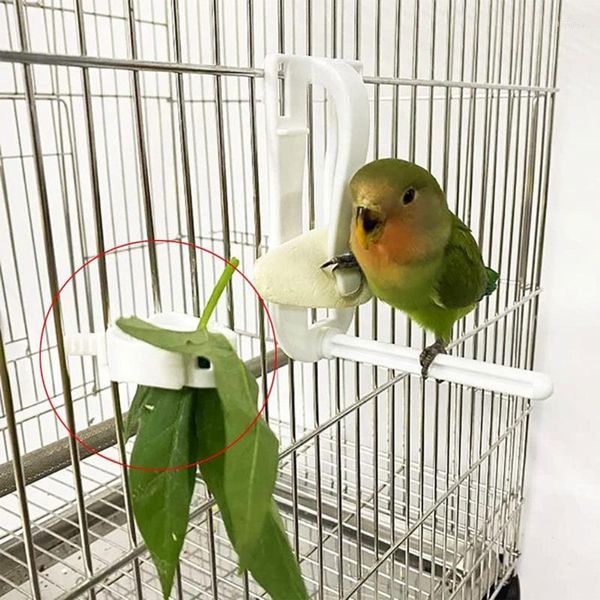 Autres fournitures d'oiseaux 3-Pack Parrot Légumes Fruits Feeder Snack Holder Clips de friandises en plastique pour Finch Cockatiel Cage grise africaine 101A