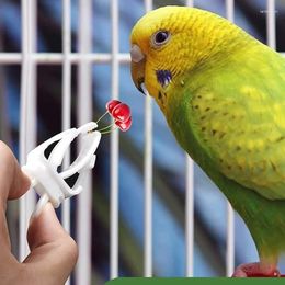 Autres fournitures d'oiseaux 3 pcs Hamster Traiter les aliments à fruits Clips de légumes