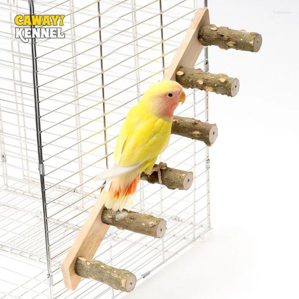 Autres fournitures d'oiseau 4/6 étapes en bois d'échelle de bois de compagnie de perroquette interactive jouet pour hamster cage drôle accessoires d'escalade de bâton de broyage drôle