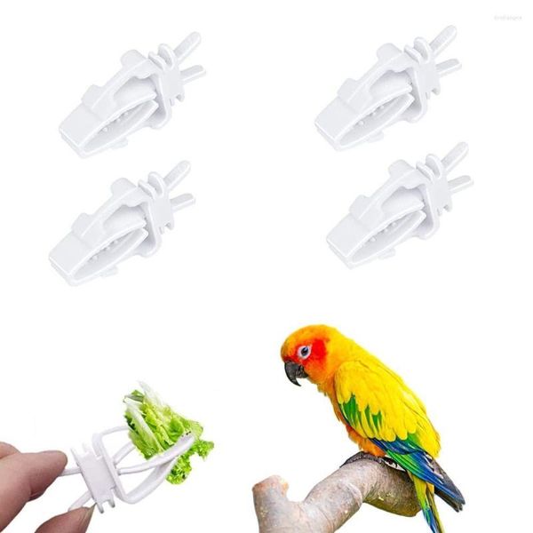 Otros suministros para pájaros 4 PCS Soporte para frutas Loro Alimentador de golosinas para vegetales Clips de plástico duraderos Accesorios para jaulas para periquitos Hámsters Mascotas