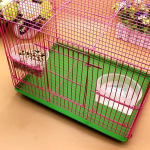 Autres fournitures pour oiseaux 5 pièces perroquet tasses d'alimentation cage suspendue bol en plastique fond plat avec crochets