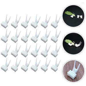 Autres fournitures d'oiseaux 50pcs perroquet pour animaux de compagnie fourchettes de nourriture pour légumes porte-cage brochette de fruits