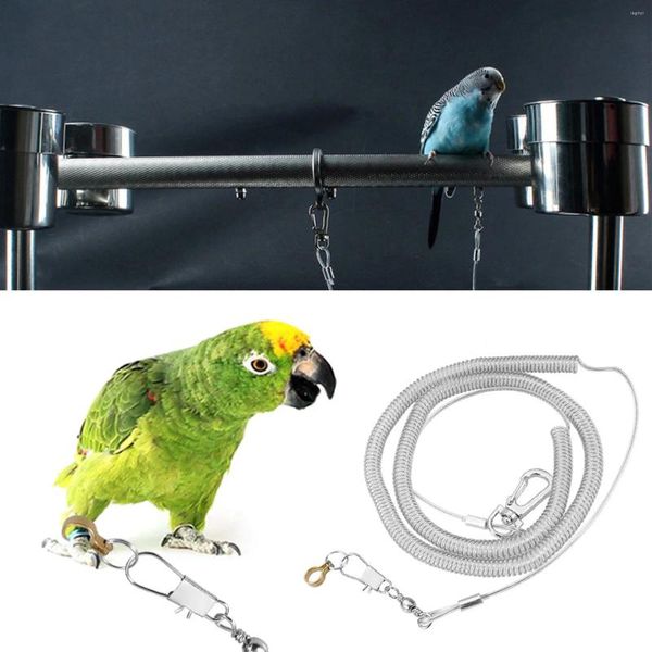 Autres fournitures d'oiseaux 6m Parrot anti-piqûre Flying Training Corde Kits de laisse aléatoire Couleur de pied anneau dia.8,5 mm 6,5 mm 4,5 mm